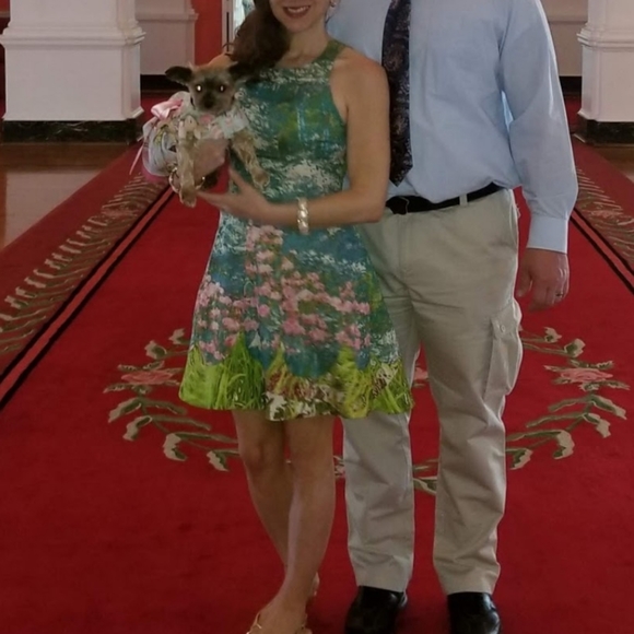 Tracy Reese Monet Garden style Impressionist dress - Picture 2 of 11